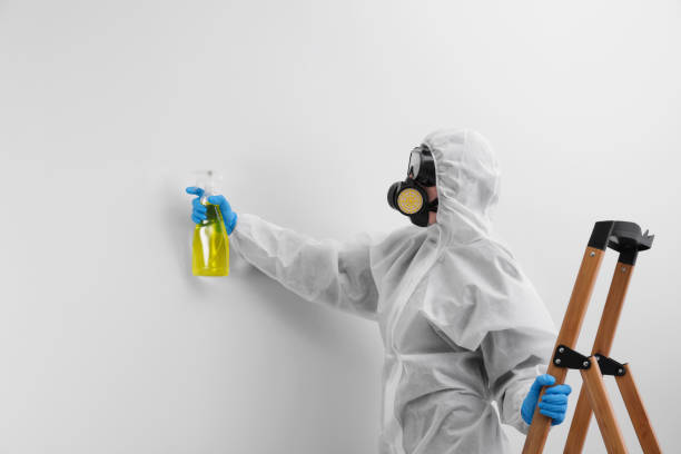 Trusted Cornwall On Hudson, NY Mold Removal Services Experts